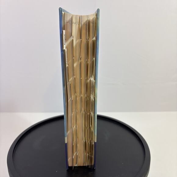 The Message: Bible in Contemporary Language 2005 Fully Index Tabbed Bin5 - Picture 8 of 8